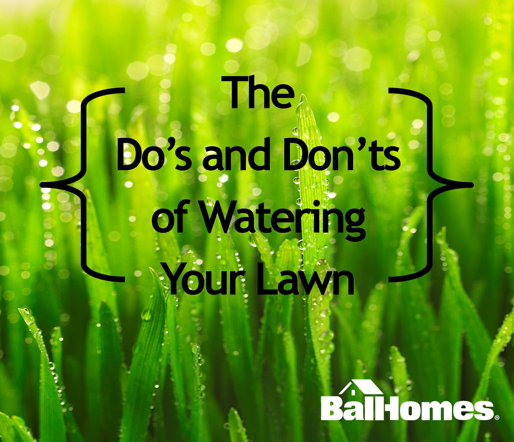 Watering Your Lawn The Do's and Don'ts